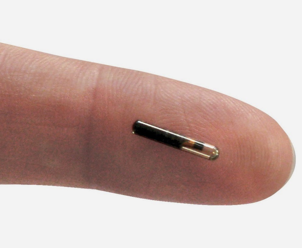 Swedish StartUp Implants Employees with Microchips Transcript Daily